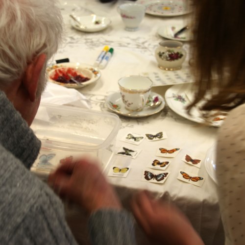 Choosing butterfly plate decorations