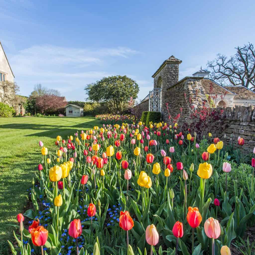 Charlton Down House & Tetbury Day Trip The Holburne Museum